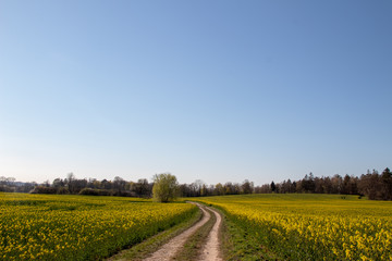 Mecklenburger Landschaft