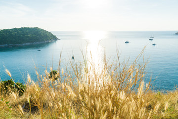 Sea shore sea beach with grass sunset blue sky and island