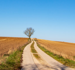 Mecklenburger Ackerlandschaften