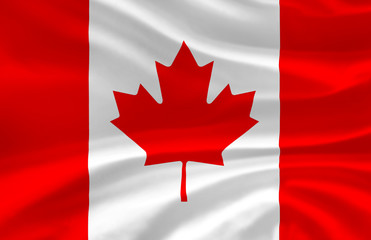 Canada waving flag illustration.