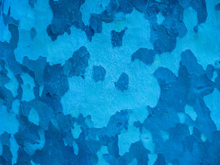  bark camouflage_1614b