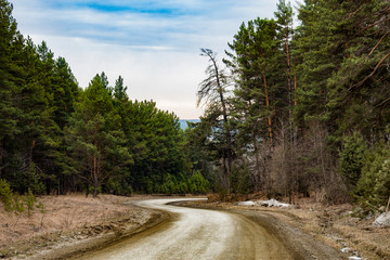 road in the forest