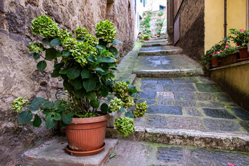 Fototapeta na wymiar Montepulciano streets. Tuscany, Italy.