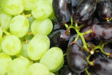 close up of two different colored wine grapes 