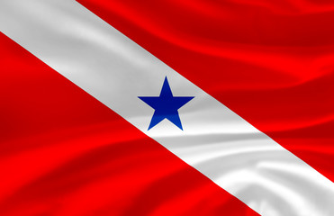 Para waving flag illustration.