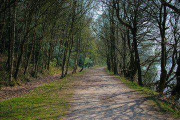 Lakeside Path