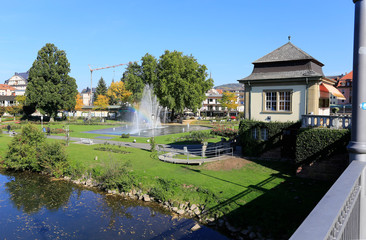 Rose garden in Bad Kissingen, Germany