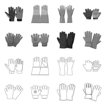 Vector illustration of glove and winter icon. Set of glove and equipment vector icon for stock.