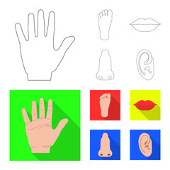 Isolated object of human and part icon. Set of human and woman stock symbol for web.