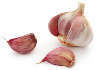 Garlic over white background