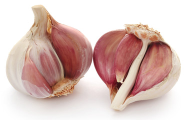 Garlic over white background