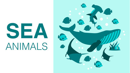 Sea Animals Advertising Flat Cartoon Banner Design