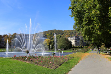 Rose garden in Bad Kissingen, Germany