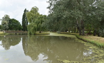 Fototapeta na wymiar Grands arbres pour ce magnifique parc à Vernou sur Brenne en Indre et Loire