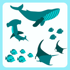 Beautiful Sea Animals Frame Banner Travel Concept