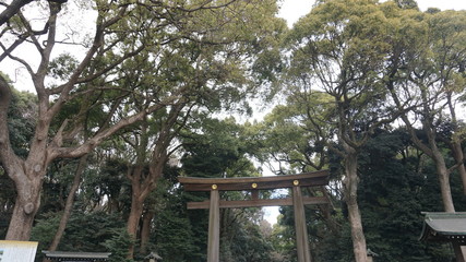 明治神宮の入り口