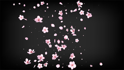 Nice Sakura Blossom Isolated Vector. Realistic Showering 3d Petals Wedding Border. Japanese Nature Flowers Wallpaper. Valentine, Mother's Day Beautiful Nice Sakura Blossom Isolated on Black