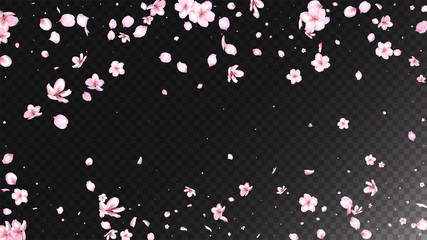 Nice Sakura Blossom Isolated Vector. Summer Flying 3d Petals Wedding Texture. Japanese Bokeh Flowers Illustration. Valentine, Mother's Day Spring Nice Sakura Blossom Isolated on Black