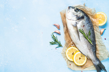Fresh fish dorado on blue background.