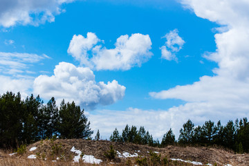 Beautiful white clouds above the spring forest