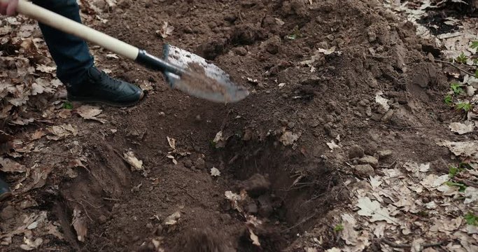 Man Covers The Pit With Earth. Buries A Dead Animal. Grave For The Animal. Prores, Slow Motion