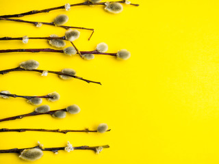 easter willow twigs on yellow background with copy space
