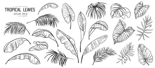 Set of tropical leaves. Hand drawn sketches traced in vector - obrazy, fototapety, plakaty
