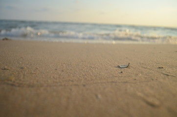 sea chanthaburi thailand