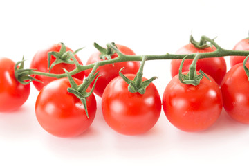 房のミニトマト