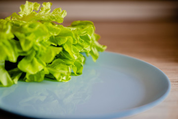 Fresh green lettuce leaves on a blue dish . Glettuce on a plate brown wooden table.