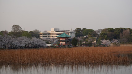 上野弁天堂