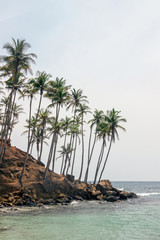 sea view at coconut tree hill in Sri Lanka 