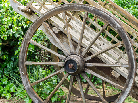 Wooden cart with big wheel