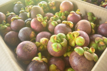 fruit chanthaburi thailand