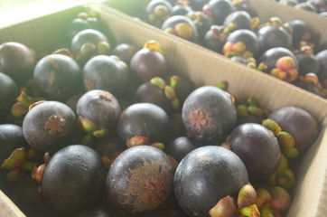 fruit chanthaburi thailand