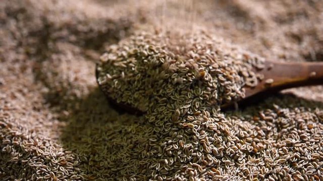 Psyllium husk or isabgol which is fiber usually mixed with water and consumed for curing constipation - video footage
