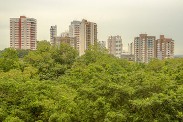 Fototapeta premium city ​​of Manaus