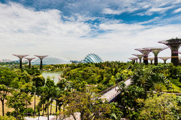 Solar Trees in the Gardens by the bay in Singapore. The Solar trees in the supertree grove were...