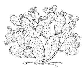 Bush of outline Indian fig Opuntia or prickly pear cactus, fruit and spiny stem in black isolated on white background.