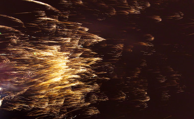 Beautiful sparks from fireworks in the sky at night