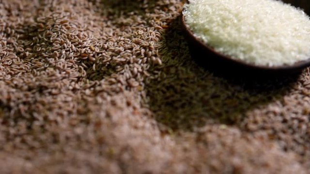 Psyllium husk or isabgol which is fiber usually mixed with water and consumed for curing constipation - video footage