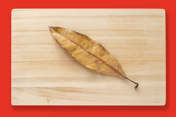 A dried mango leaf