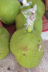 jackfruit is delicious at the street food