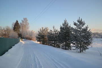 road in winter forest