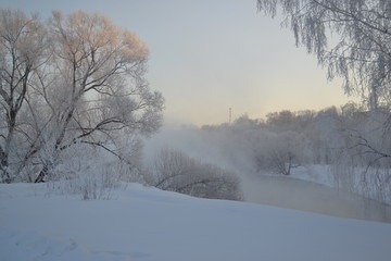 Obraz na płótnie Canvas winter landscape with frozen trees and snow