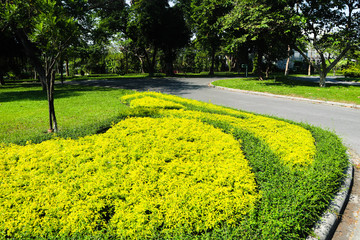 Obraz premium Beautiful green tree, plants, forest and flowers in the outdoor gardens and parks