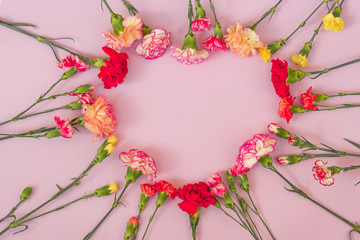 Heart shaped carnation flowers frame