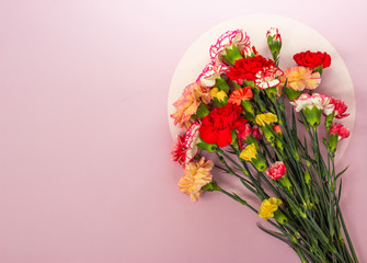 Bouquet of carnations on a pink background with a copy space. Mother's day greeting card.
