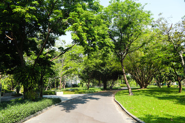 Beautiful green tree, plants, forest and flowers in the outdoor gardens and parks