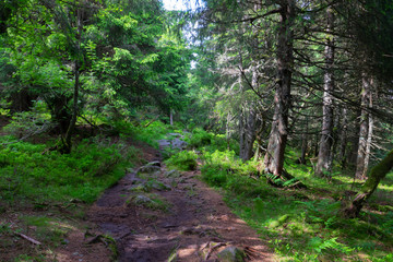 Balade sur les cretes des vosges